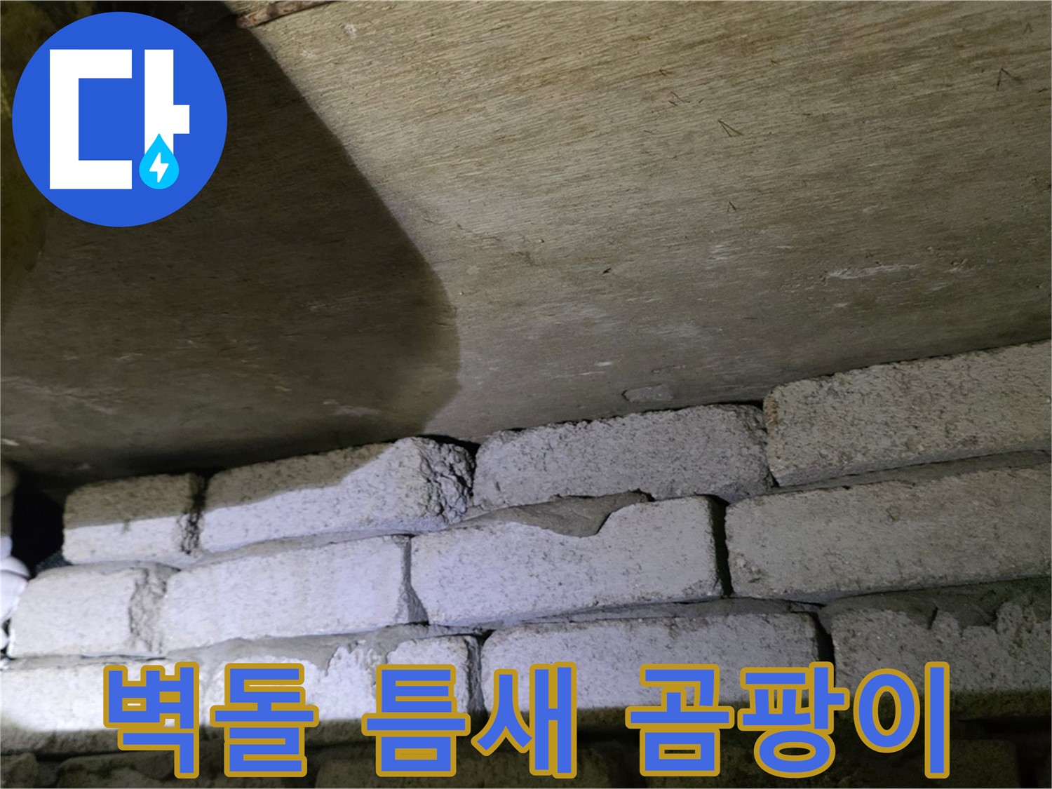 신사동 주택 누수 - 벽돌과 천장 틈새 주변 습기와 곰팡이 문제