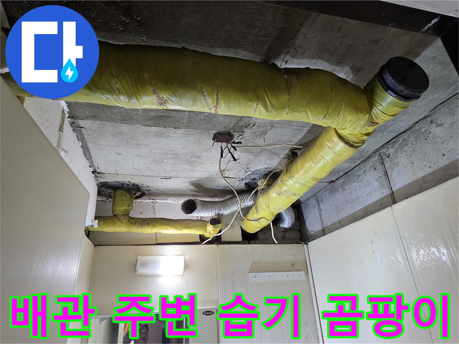 신사동 - 은평구 천장 배관 - 습기 및 곰팡이