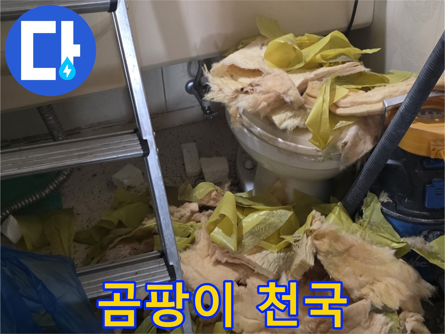 은평구 신사동 누수 - 곰팡이 천국 보온재 - 긴급 교체