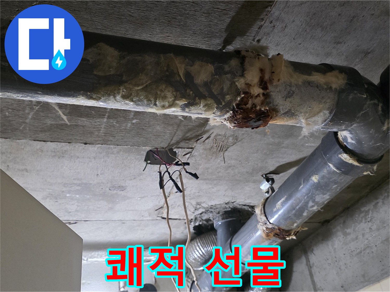은평구 신사동 누수 - 곰팡이와 낡은 오수 배관 부식 - 쾌적한 환경 선물