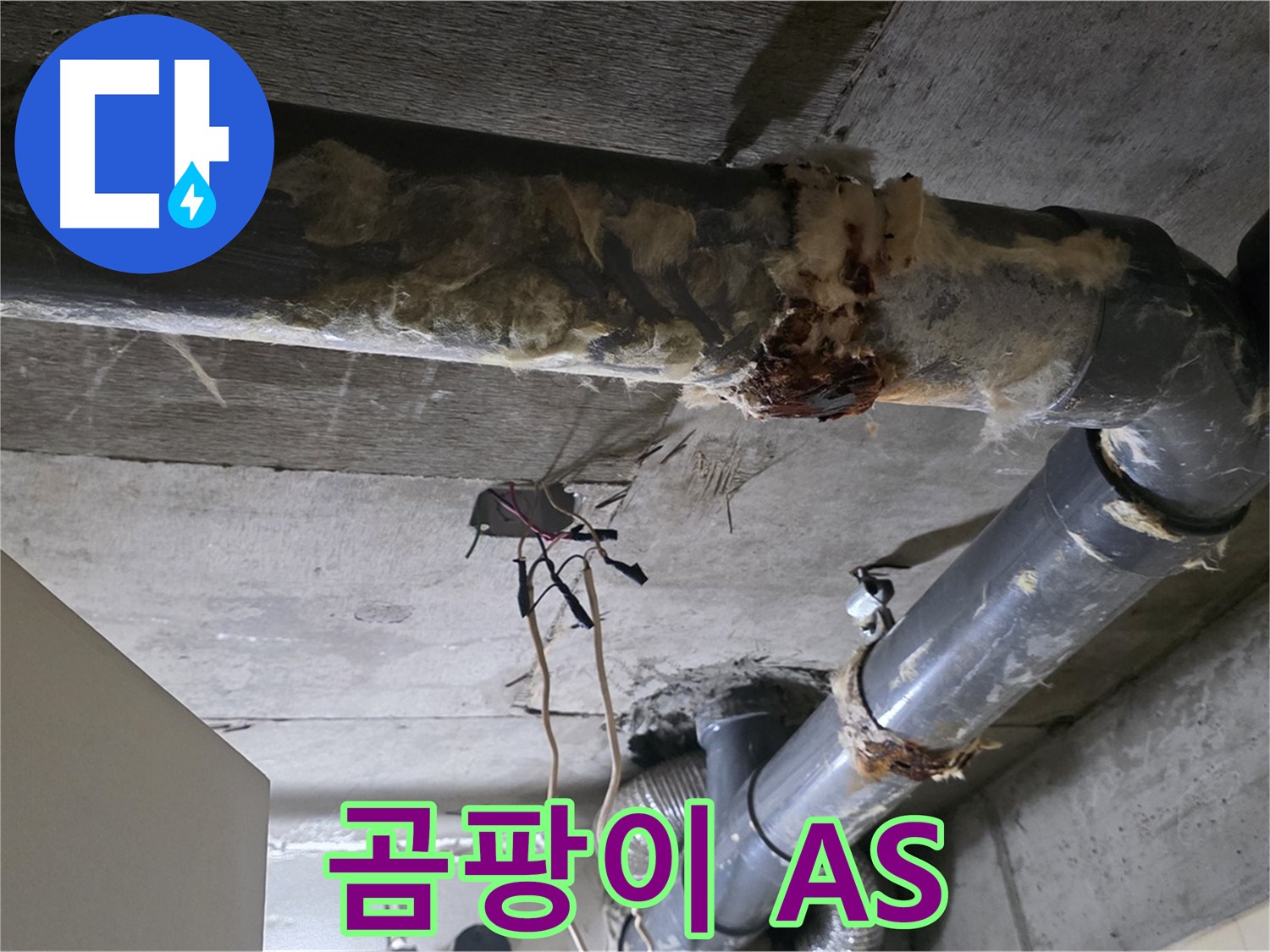 은평구 신사동 누수 - 곰팡이와 함께 오수 배관 부식 확실하게 해결 - A/S 책임 약속