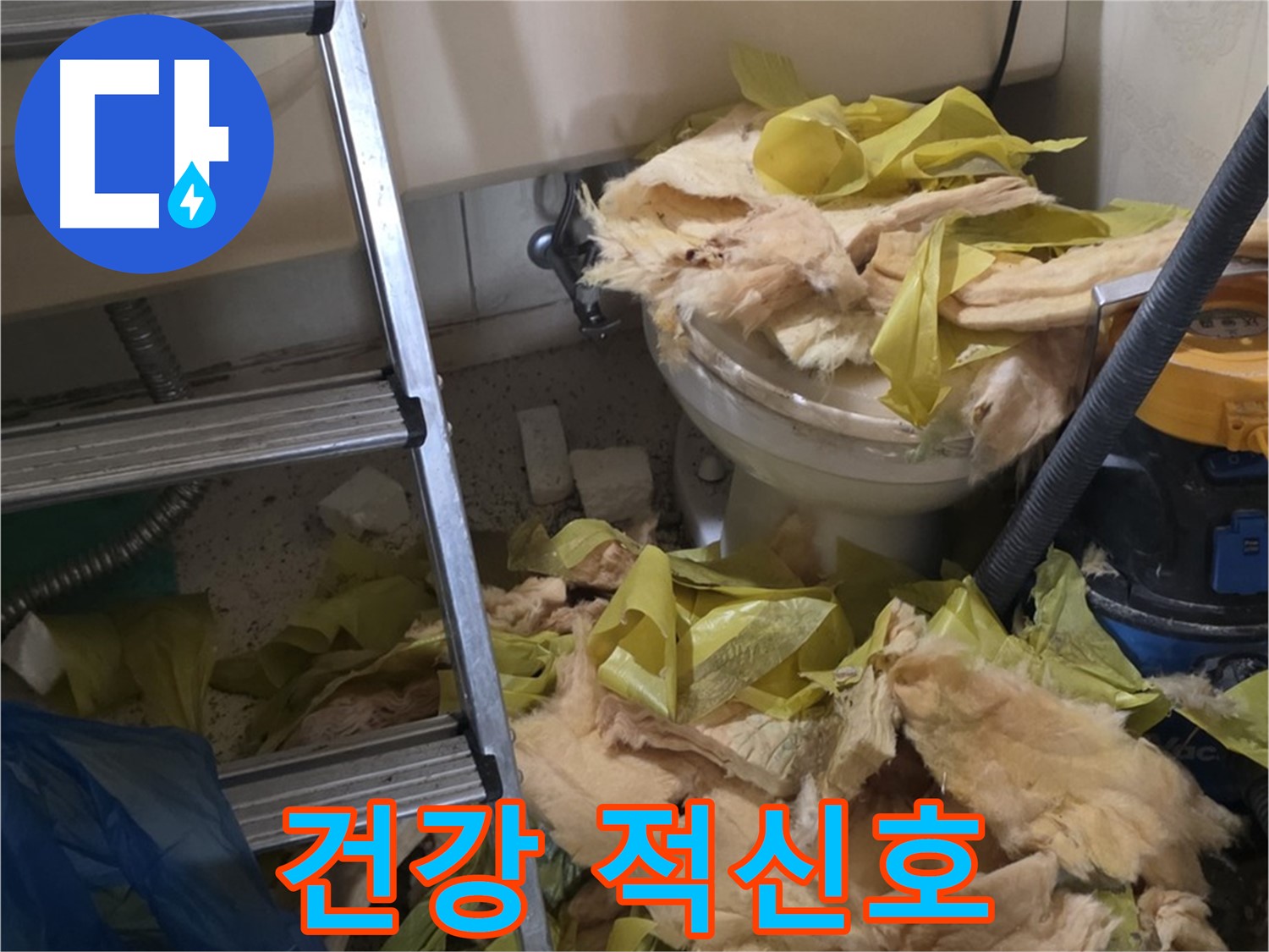 은평구 신사동 누수 - 보온재 속 시커먼 곰팡이, 건강 위협 - 주의