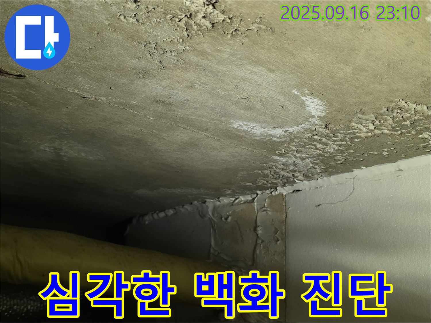 천장 누수 - 심각한 백화 현상으로 건물 손상 우려