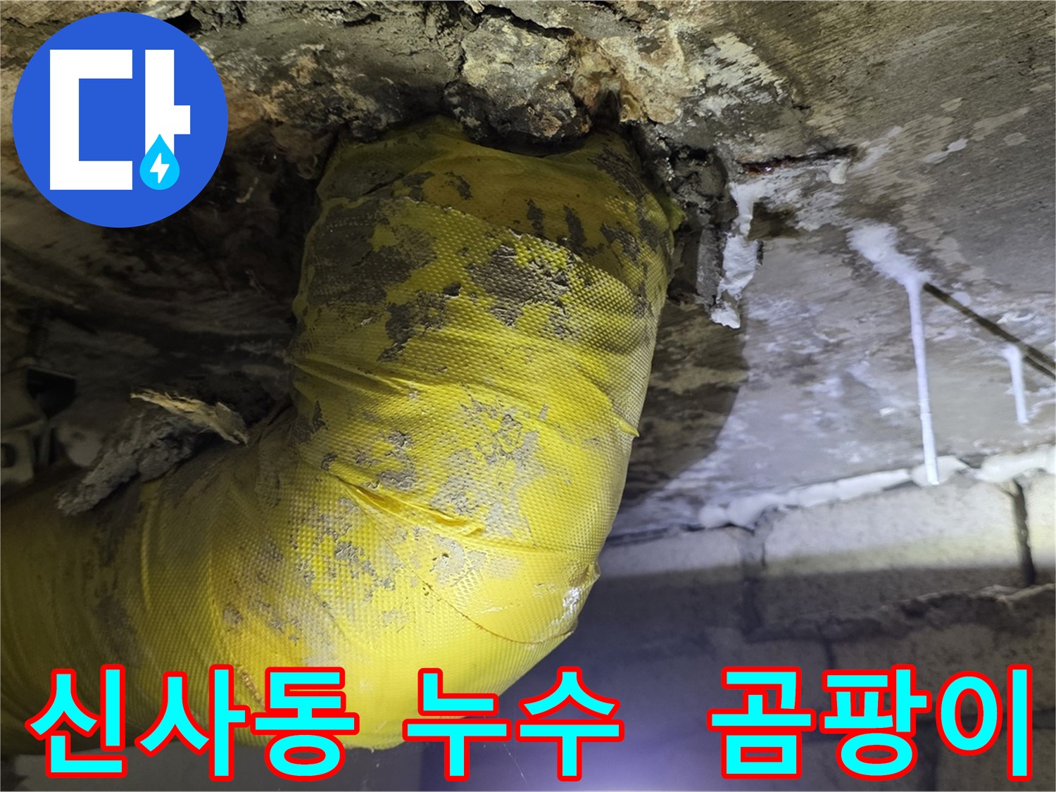 천장 누수와 곰팡이 - 신사동 아파트 건강 위협