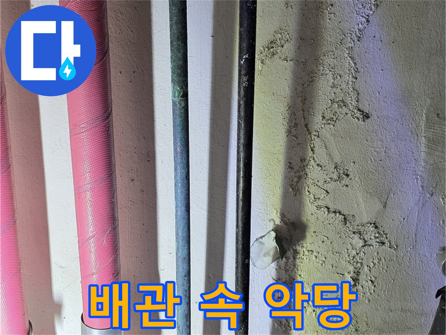 광명시 누수탐지 - 배관 속 숨겨진 누수 지점 탐색