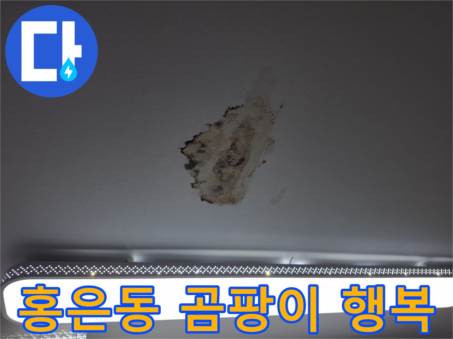 천장 누수와 곰팡이 - 사라진 행복을 되찾아 드립니다