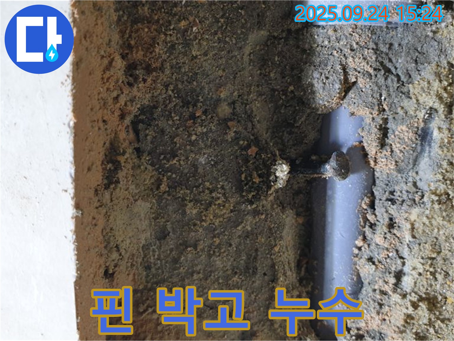 의정부 누수 해결 - 핀 때문에 손상된 배관, 꼼꼼하게 보수하여 누수 해결!