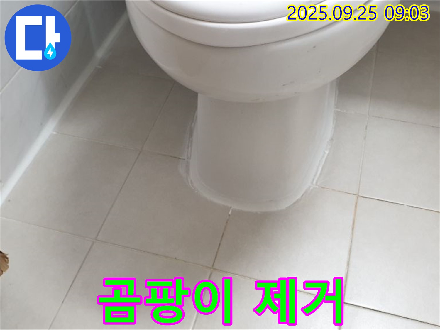가납리 변기 누수 - 변기 틈새 곰팡이 제거 및 방수 시공으로 쾌적한 화장실 환경을 만들어 드립니다.