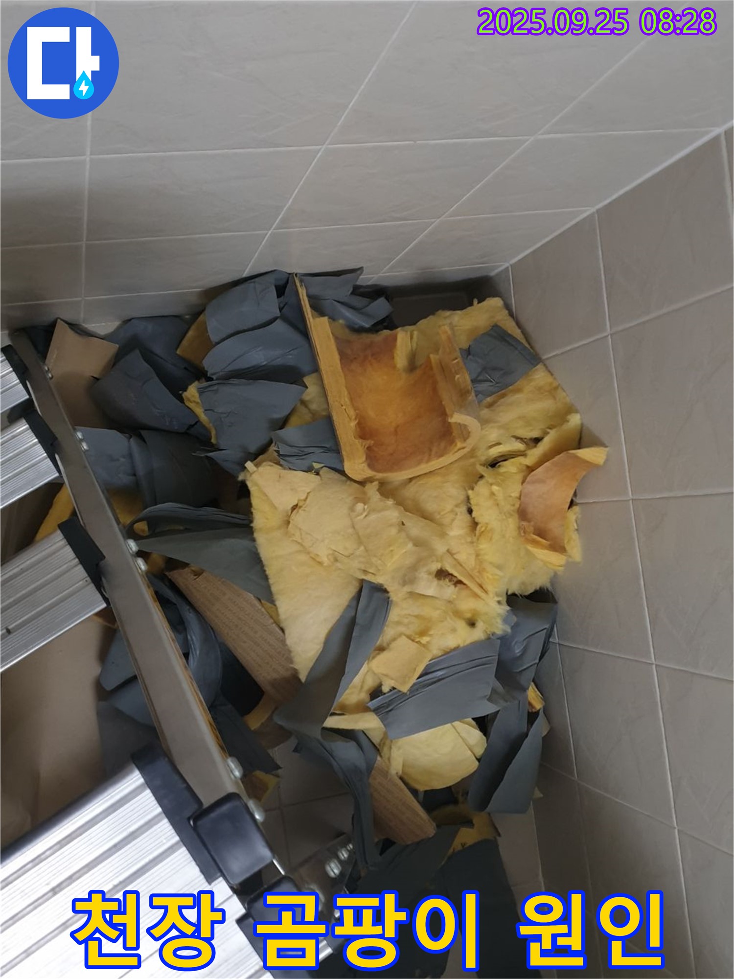 광적면 천장 누수로 인한 곰팡이 발생 - 누수 원인을 제거하고 곰팡이 재발 방지 시공