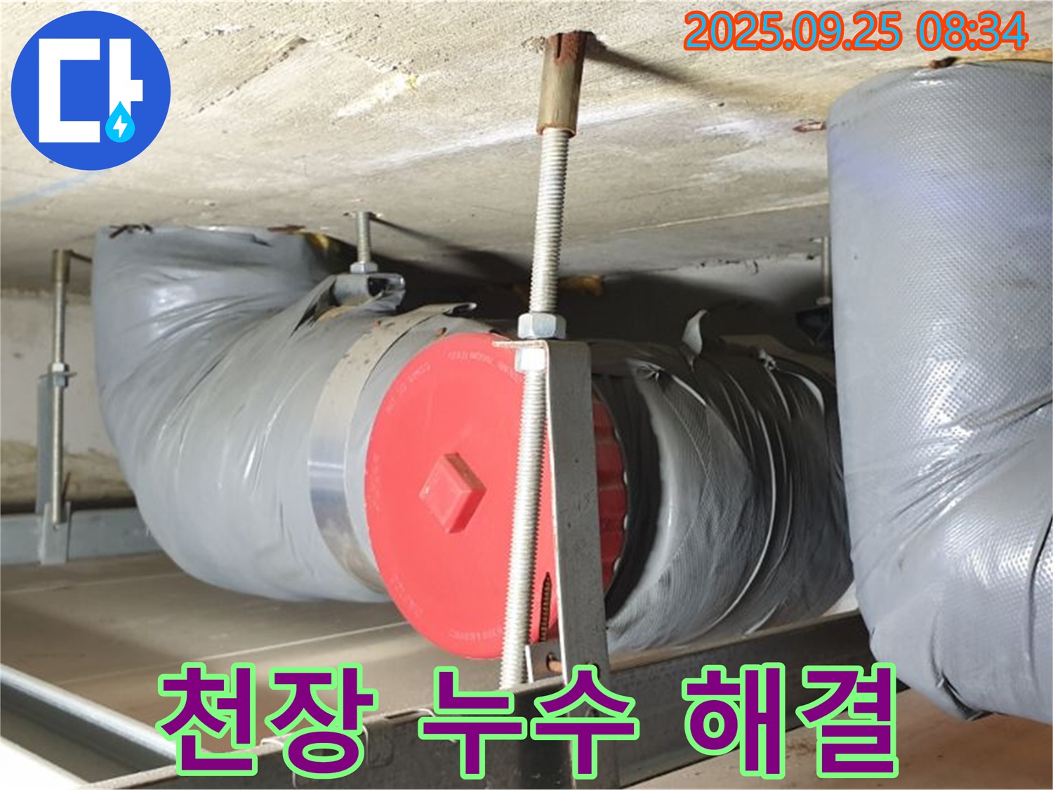 양주시 가납리 누수 - 천장 누수 원인은 윗집 배관 문제! 누수 해결 과정을 공개합니다.