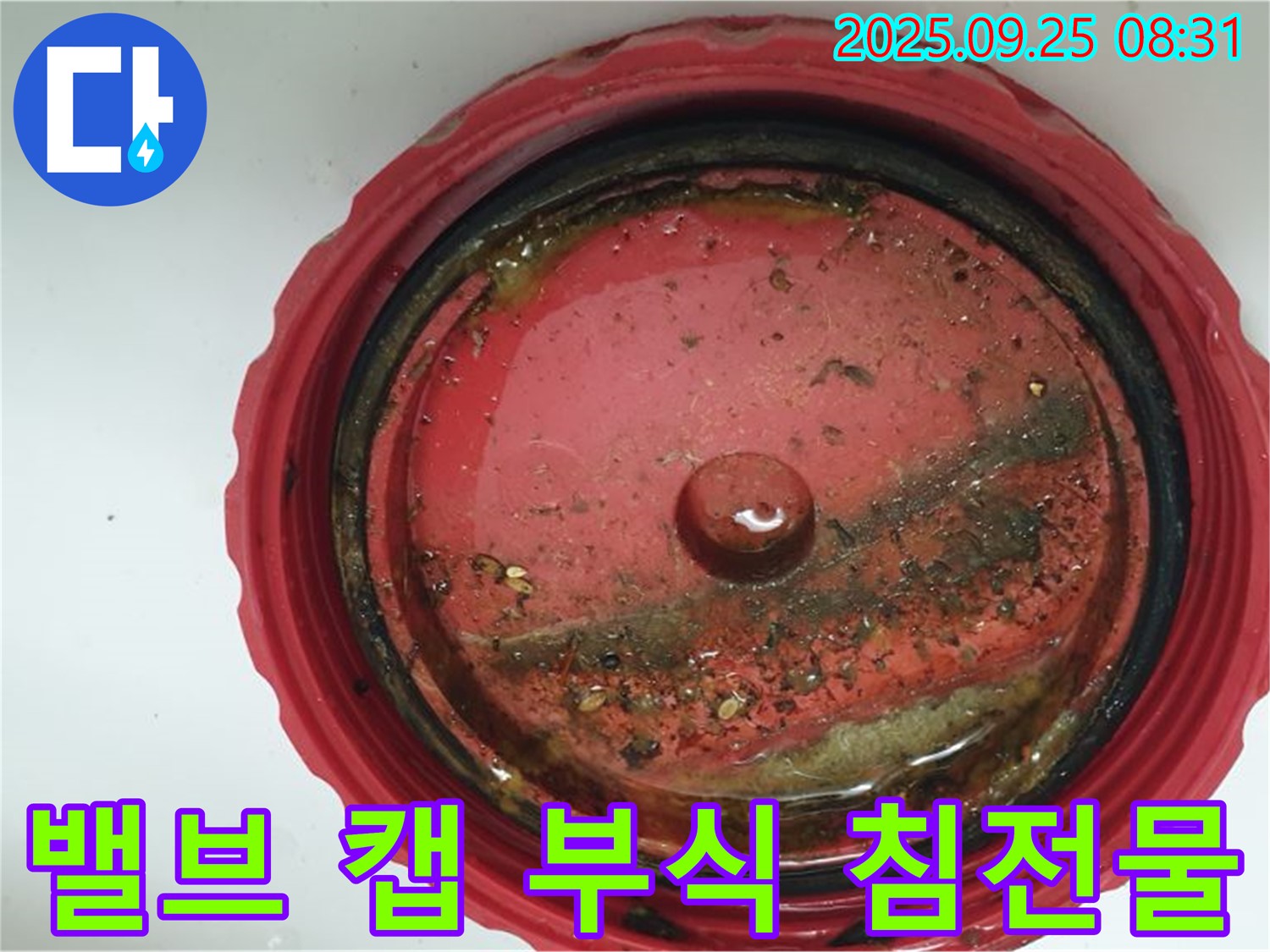 양주시 가납리 밸브 캡 내부 부식 및 침전물 심각 - 긴급 점검 및 완벽한 조치가 필요합니다.