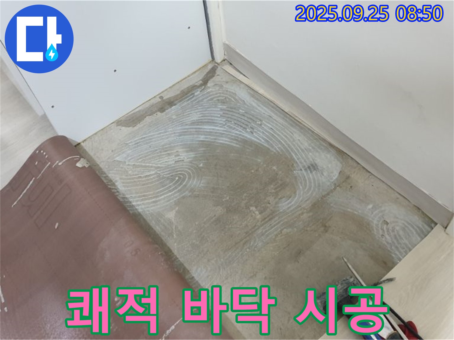 양주 백석읍 연곡리 누수 문제 해결 후 쾌적한 바닥을 위한 접착제 시공 - 꼼꼼하게!