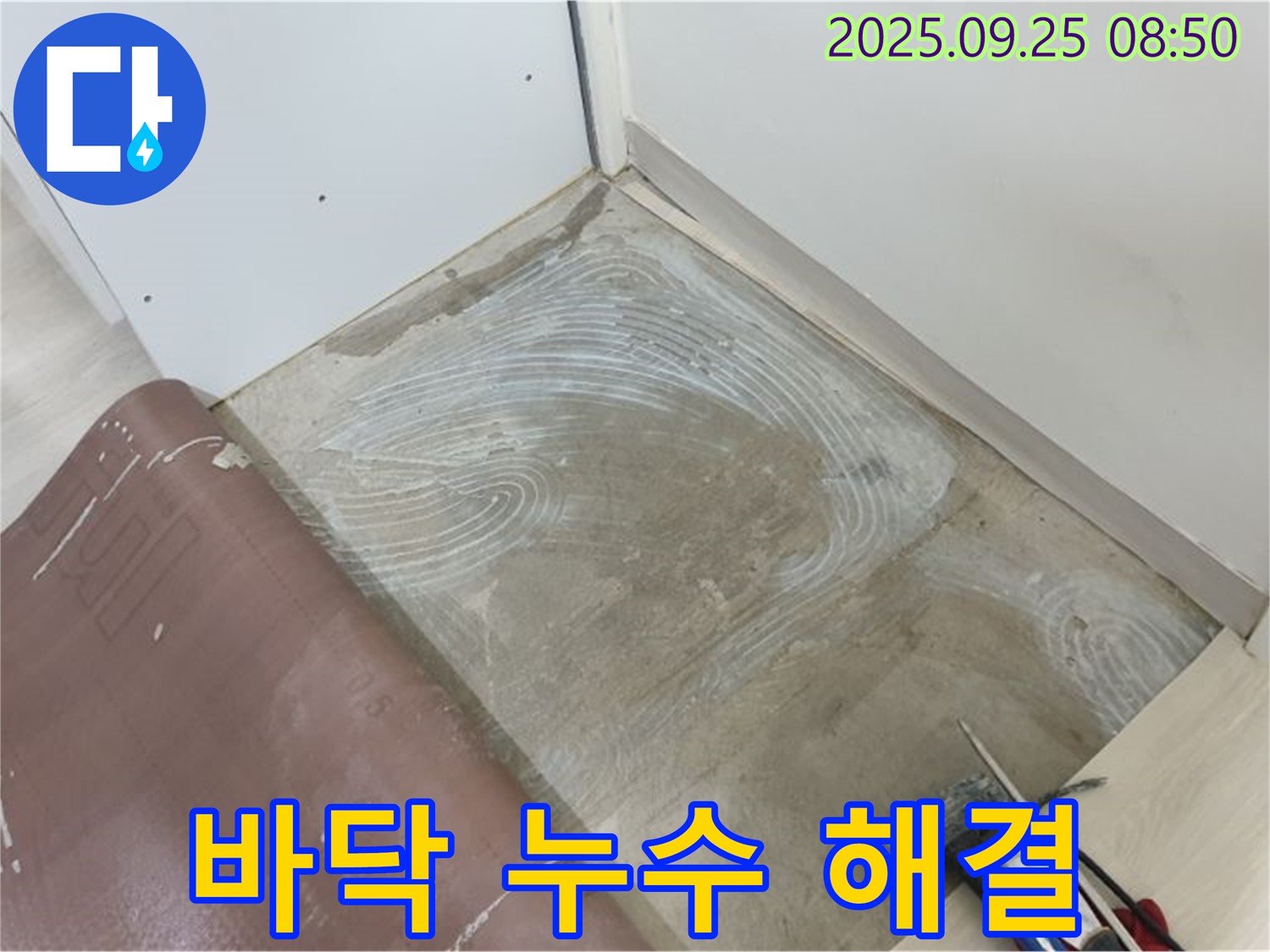 양주 백석읍 연곡리 바닥 누수 완벽 해결 - 누수 지점을 찾아 보수 작업을 완료했습니다.