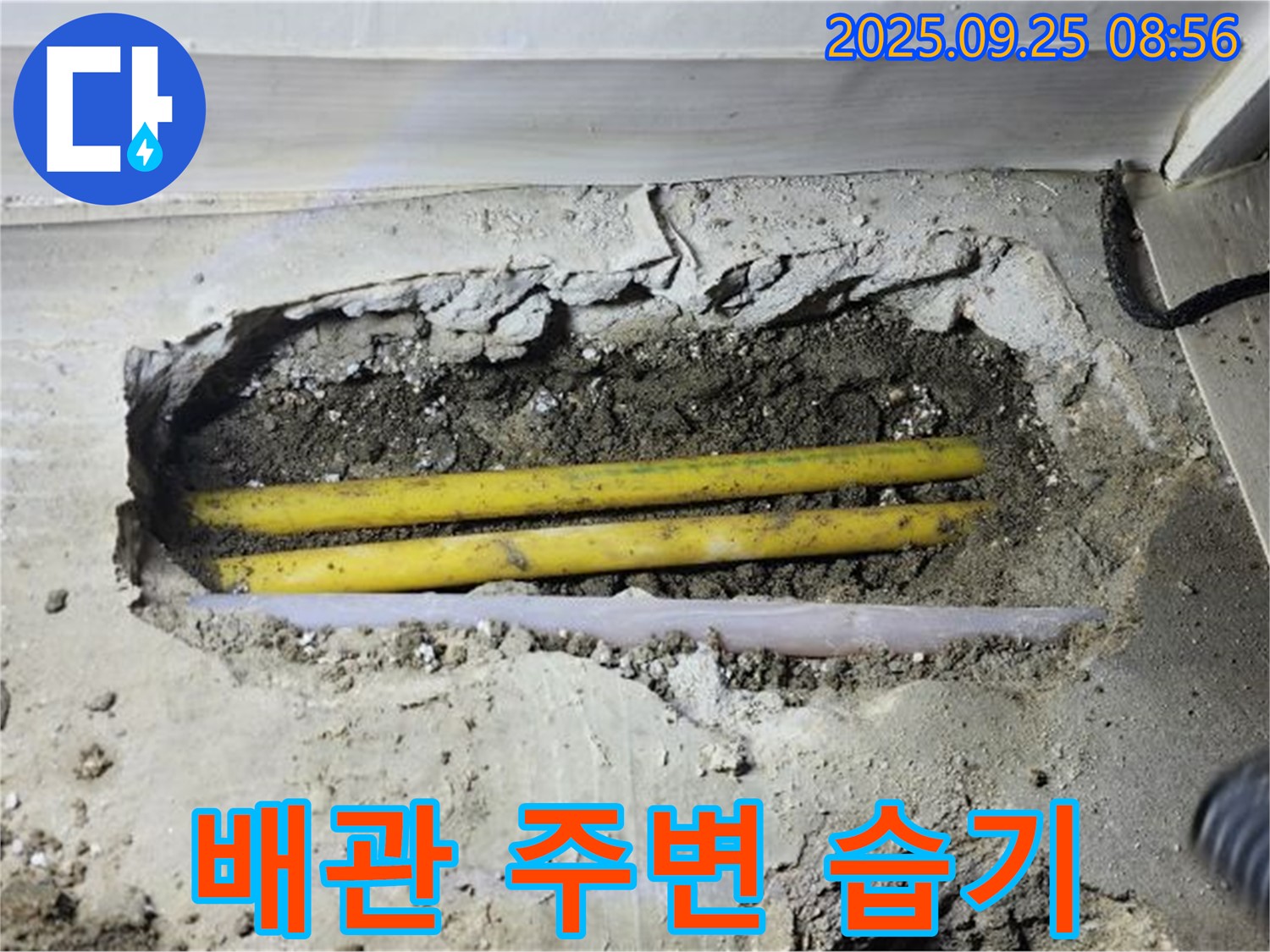 양주시 백석읍 연곡리 누수 현장에서 배관 주변 습기를 확인했습니다 - 누수의 명확한 신호.