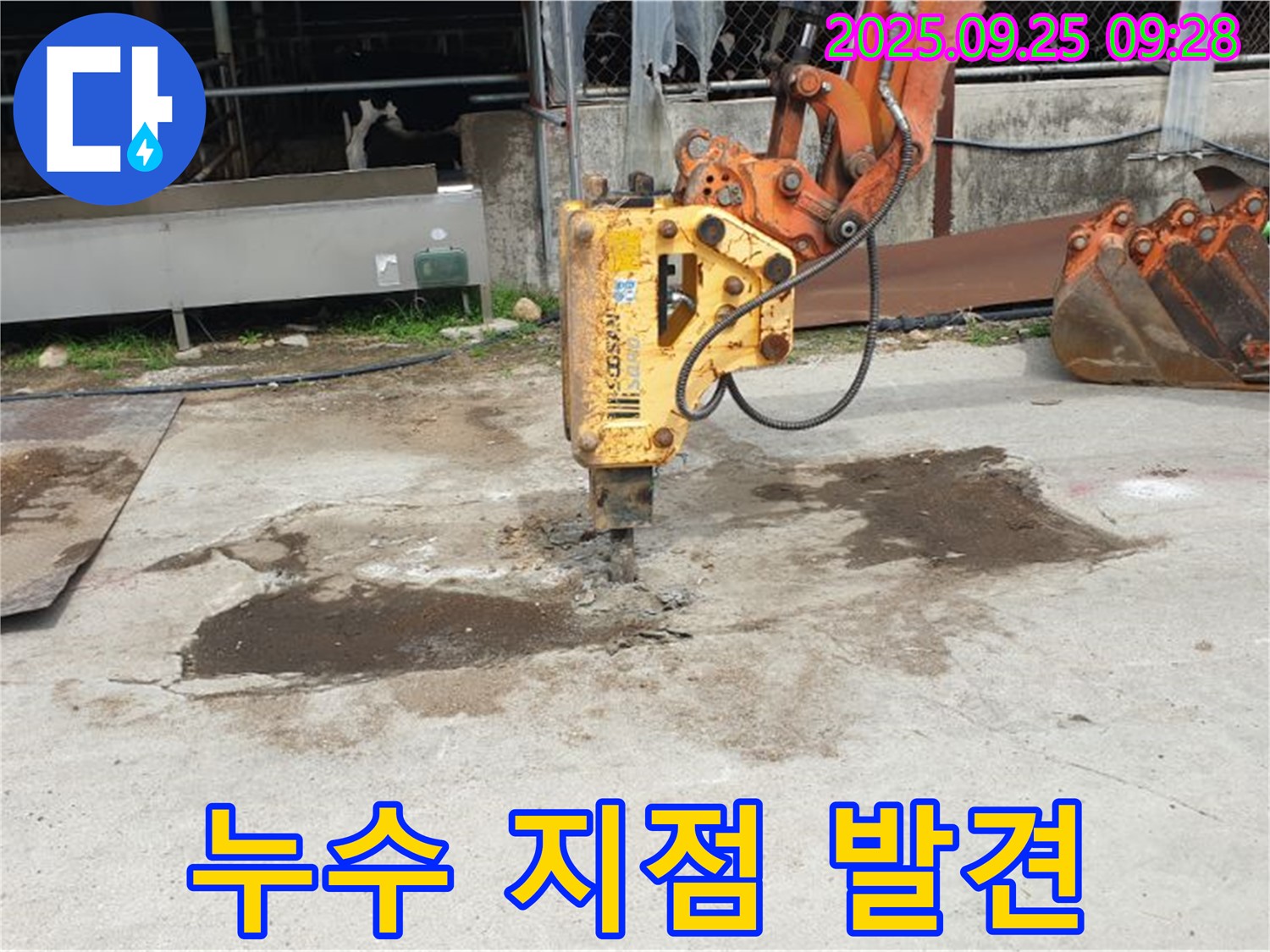 양주시 백석읍 복지리 누수 - 굴착 작업 중 누수 지점 발견