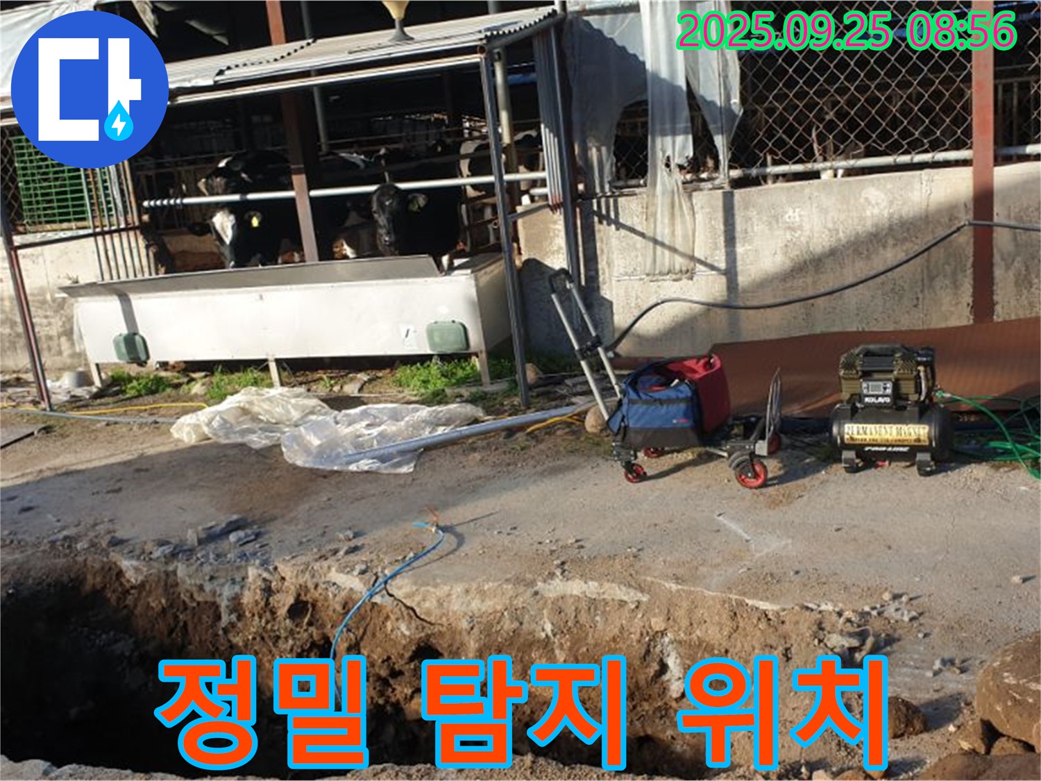 양주시 백석읍 복지리 축사 누수 - 정밀 탐지를 통해 정확한 누수 위치를 파악하는 모습