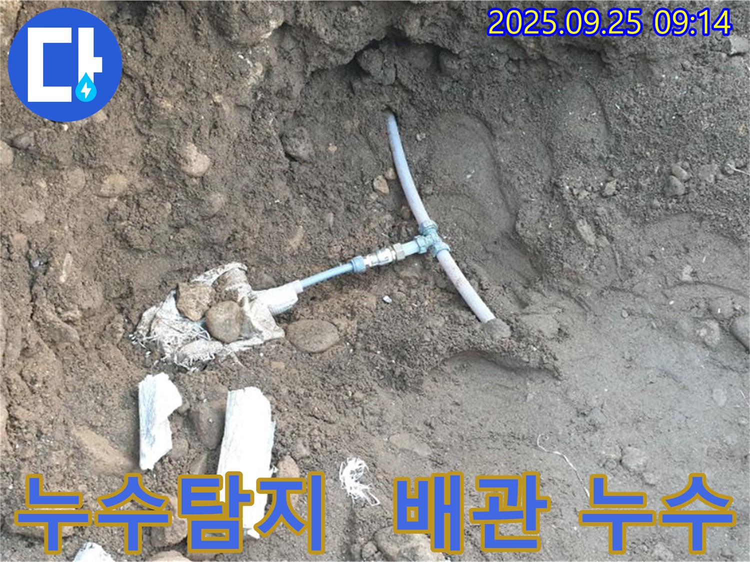 양주시 백석읍에서 발생한 누수 지점 - 배관 손상으로 인한 누수 상황을 보여주는 사진입니다.