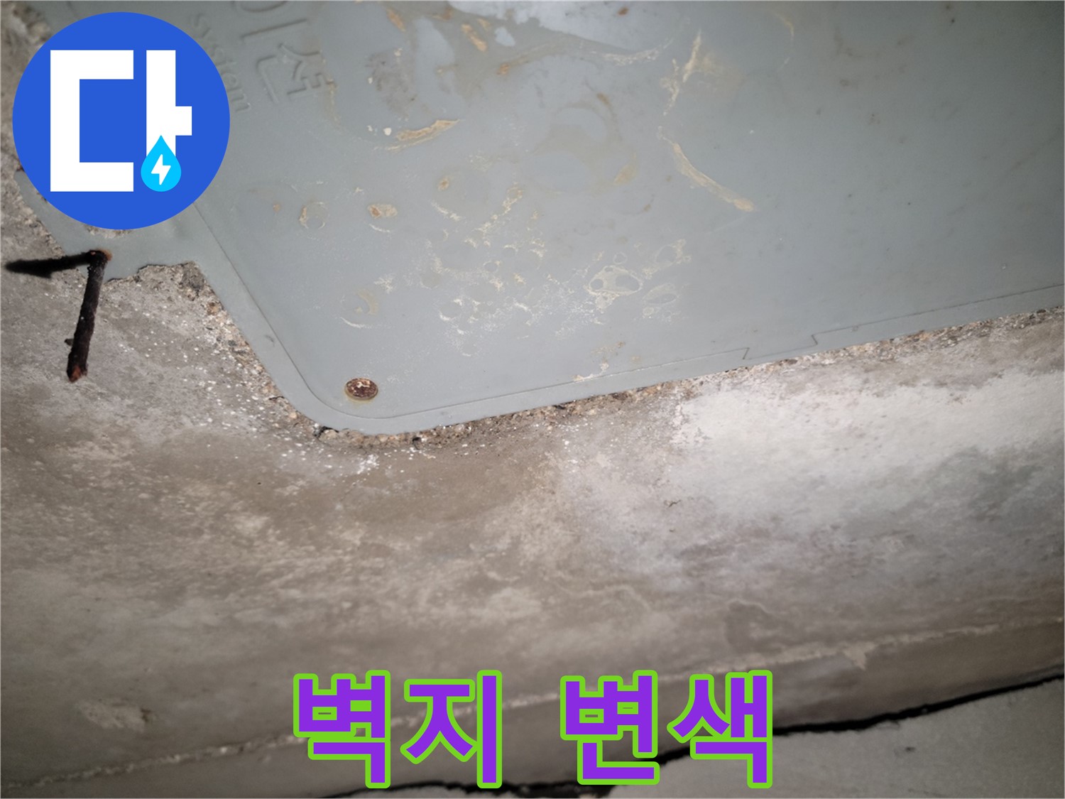 동두천 누수 - 생연동 점검구 주변 벽지 변색 - 누수 의심 징후