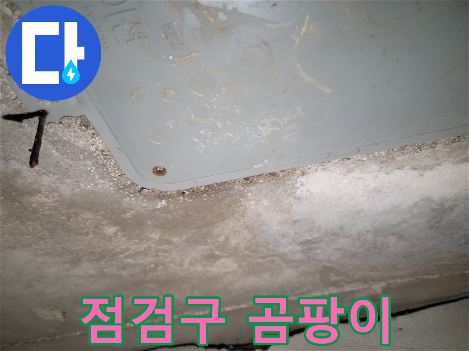 동두천 누수 - 생연동 천장 점검구 곰팡이 발생 - 건강 위협