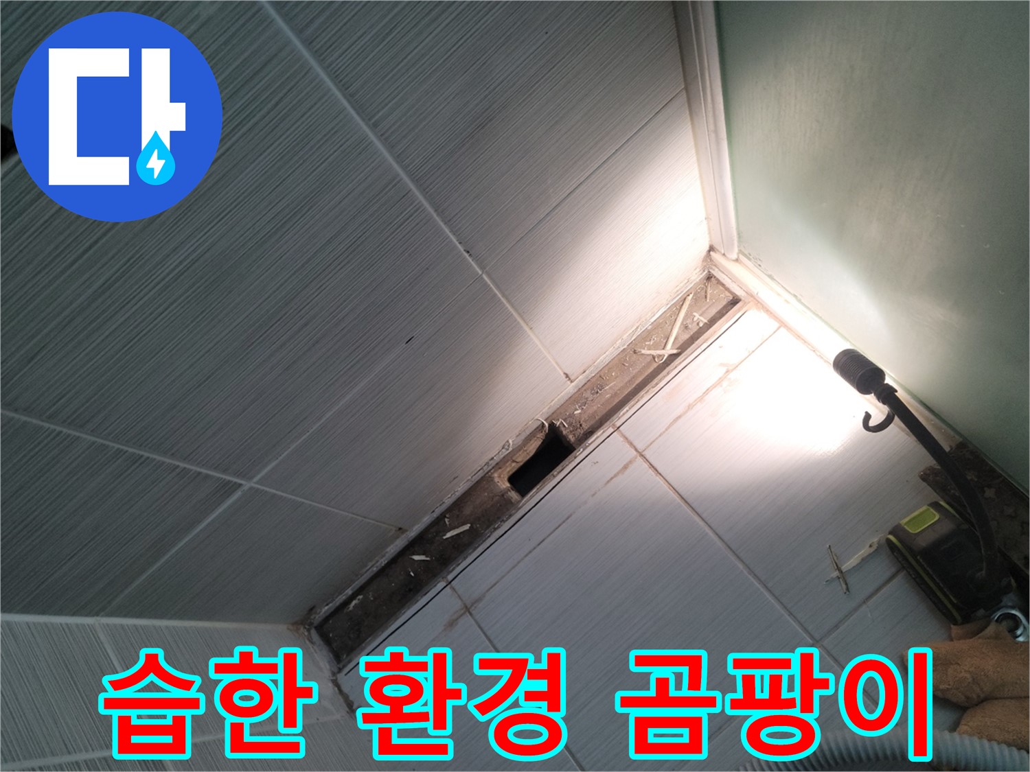 동두천 누수 - 욕조 철거 후 습한 환경과 곰팡이 서식 확인