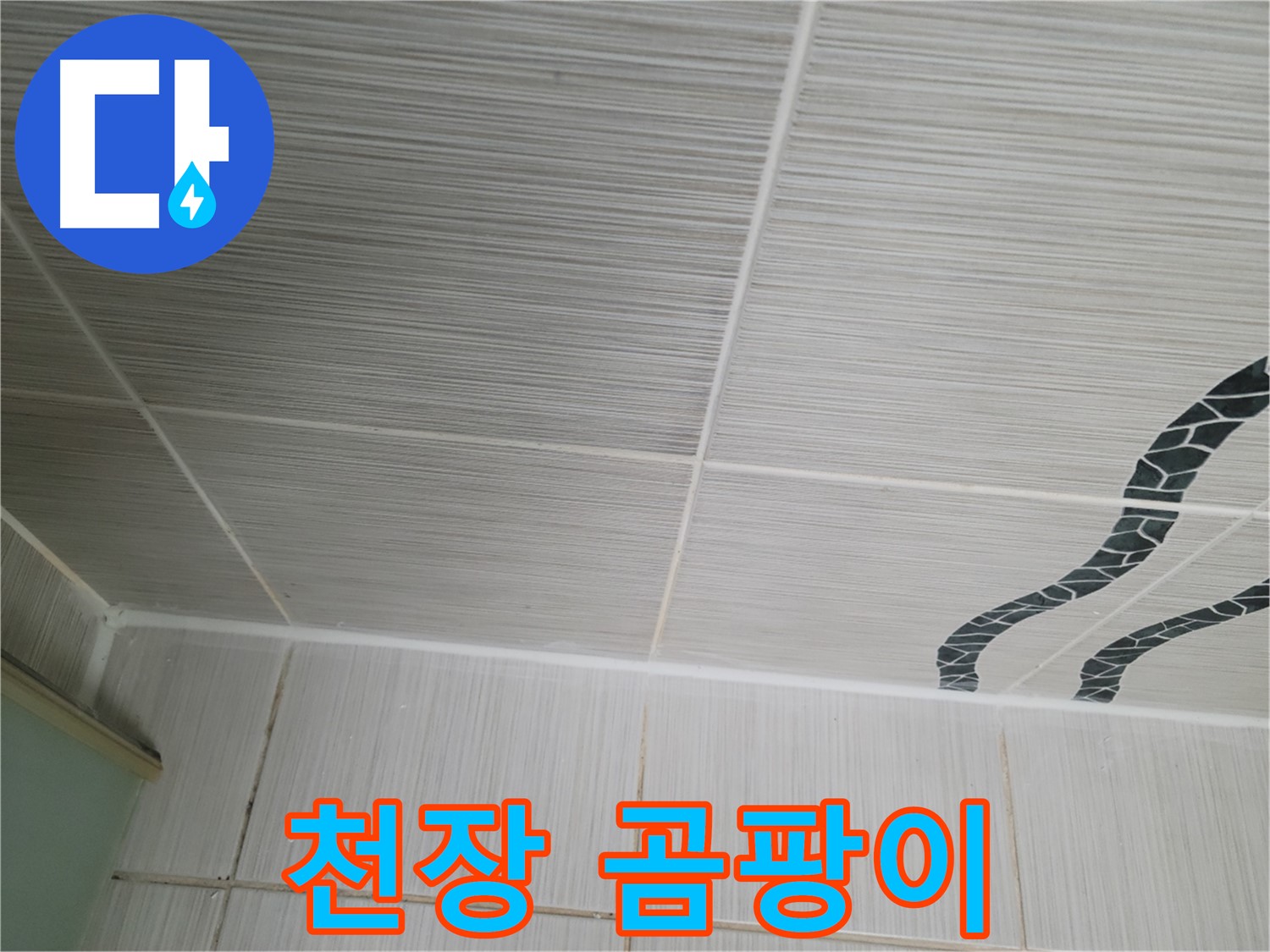 동두천 누수 - 화장실 천장 타일 틈새에 검은 곰팡이가 핀 것을 확인했습니다.