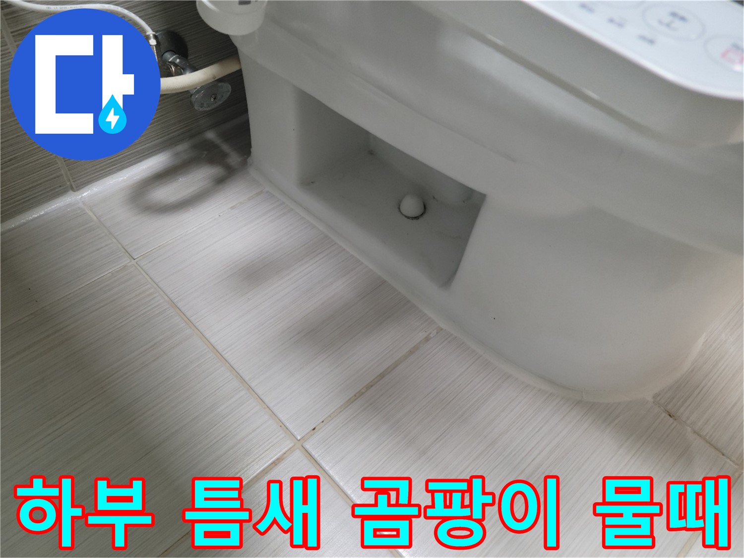 동두천 변기 누수 - 하부 틈새 곰팡이 물때 - 습도 높음 - 청소 및 소독 필요