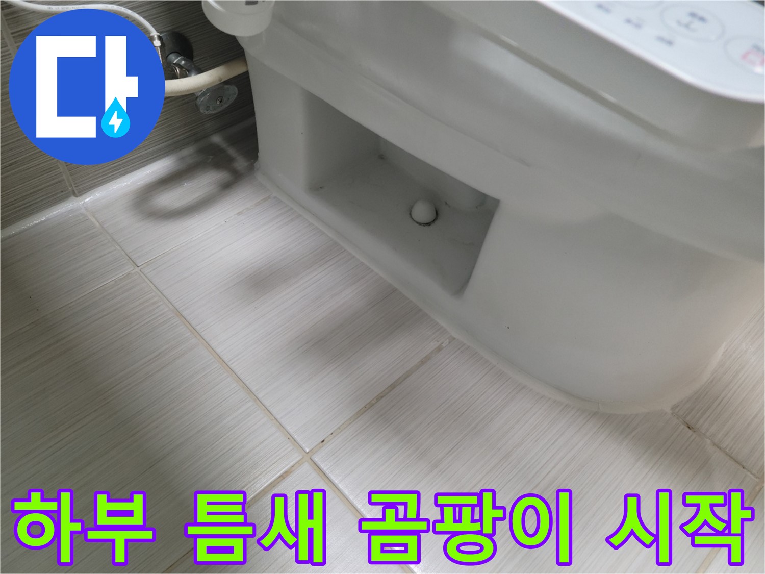동두천 변기 누수 - 하부 틈새 곰팡이 시작 - 습기 - 초기 제거 중요