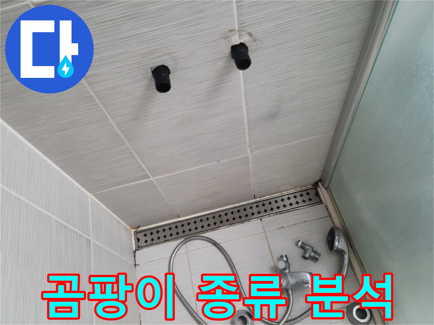 동두천 신창비바 - 샤워기 철거 후 벽면 곰팡이 종류 및 번식 정도 분석