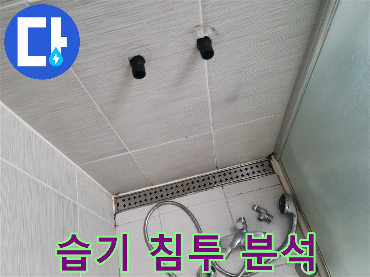 동두천 신창비바 - 샤워기 철거 후 타일 틈새 습기 침투 경로 정밀 분석