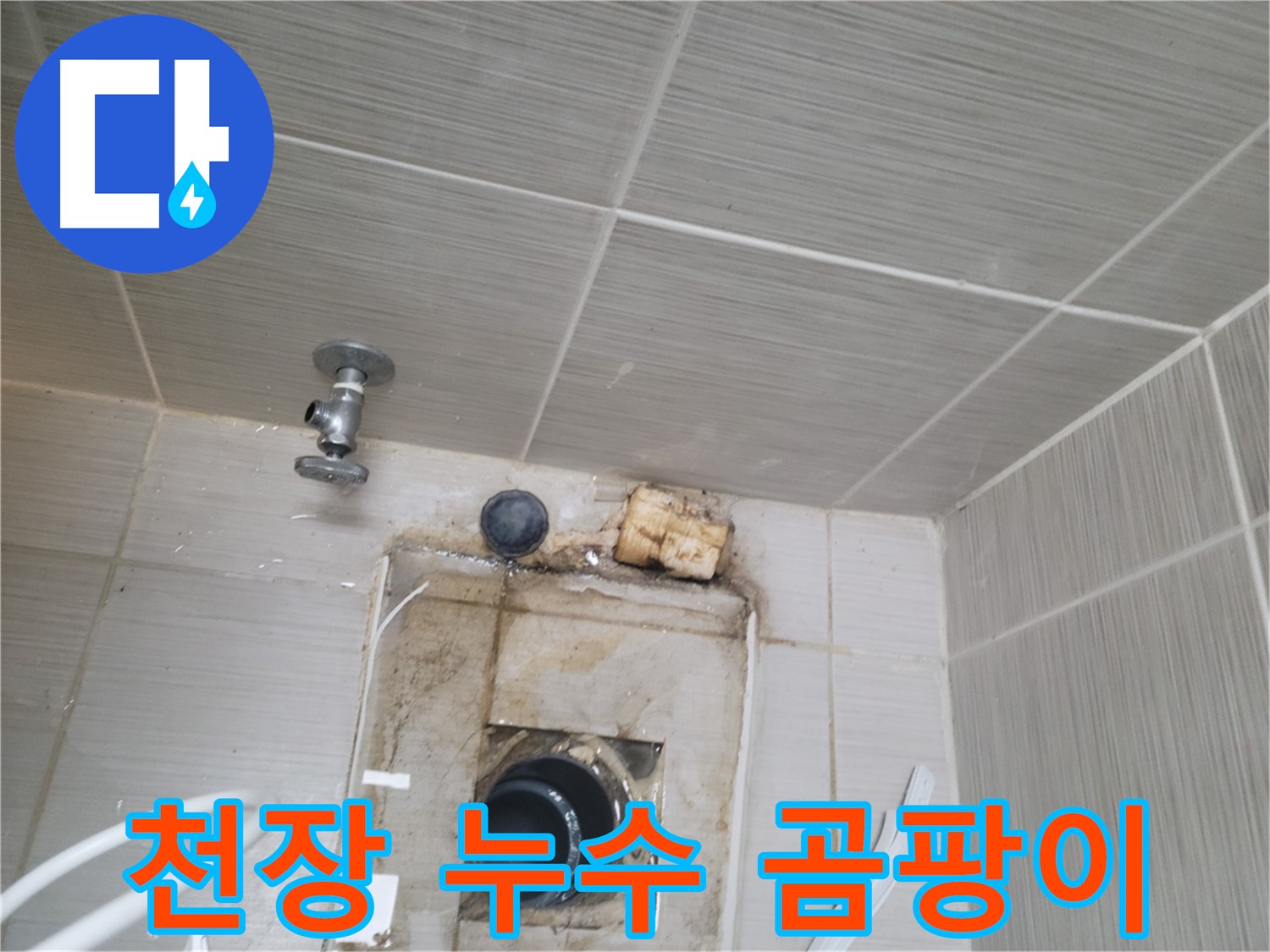 동두천 신창비바패밀리-2단지 - 욕실 천장 누수와 곰팡이 문제 발생