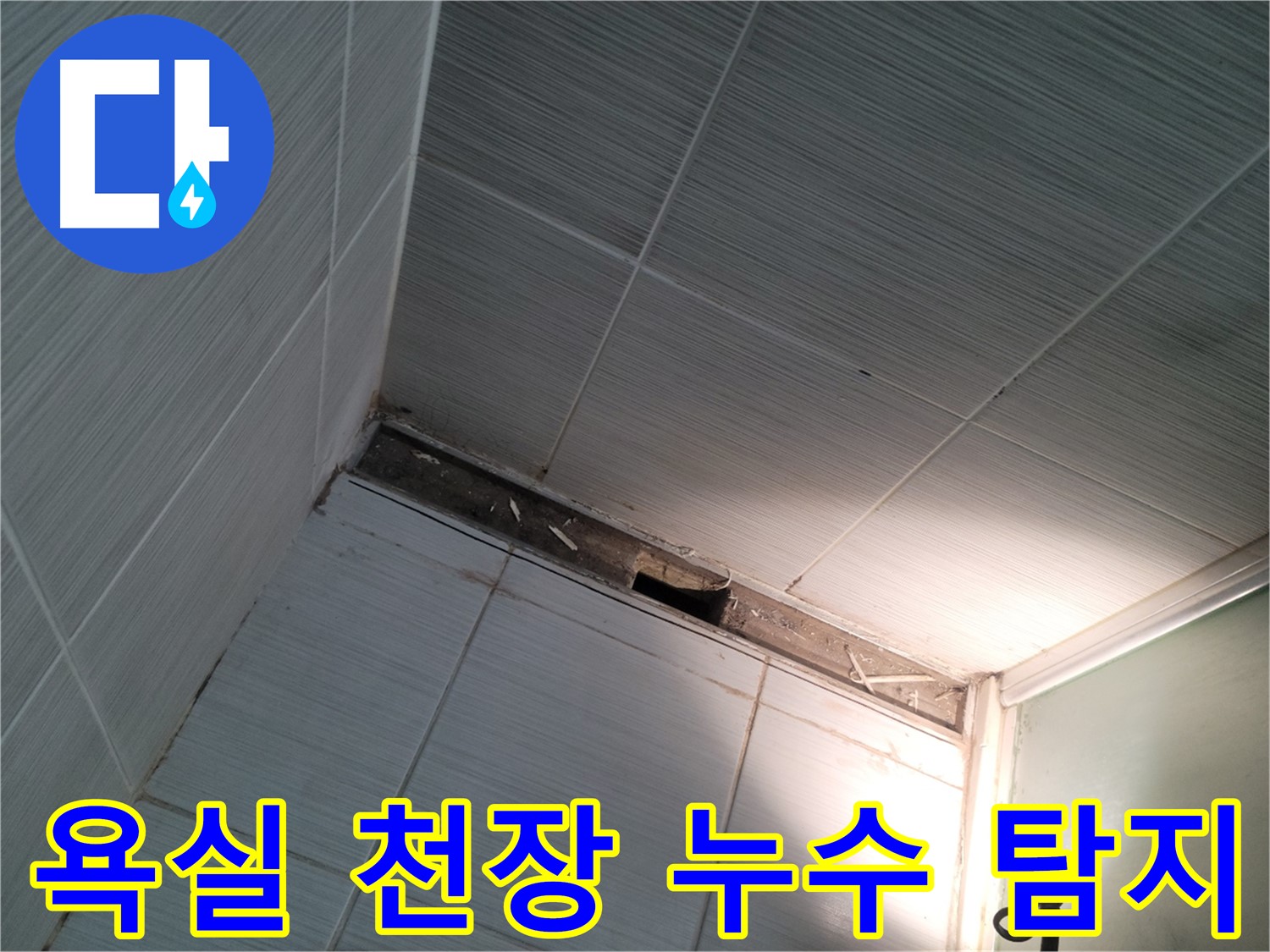 동두천 욕실 천장 누수 탐지 현장 - 누수 원인 파악 및 해결 과정