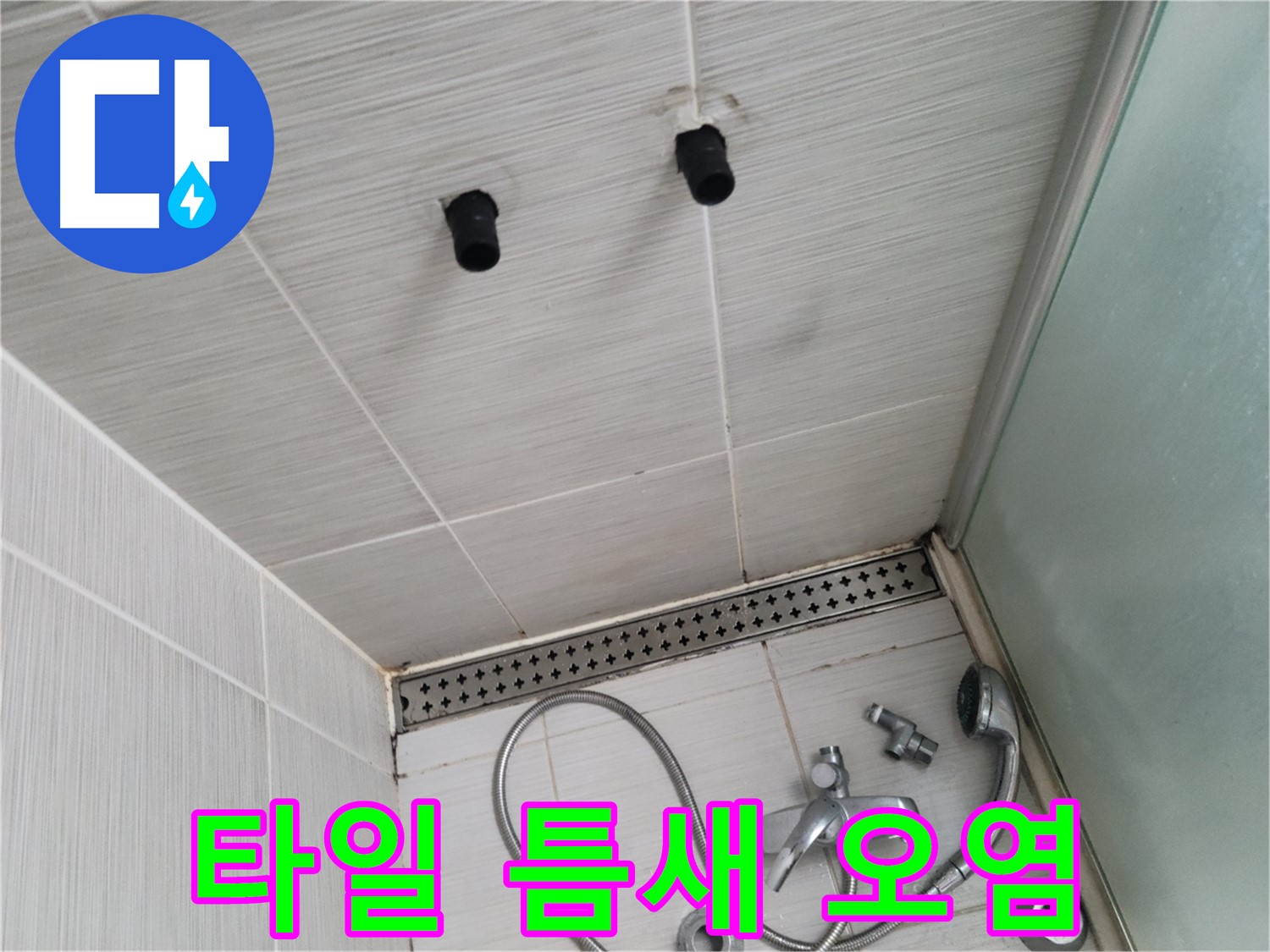 동두천 신창비바 - 샤워기 벽 타일 틈새 오염, 누수 가능성