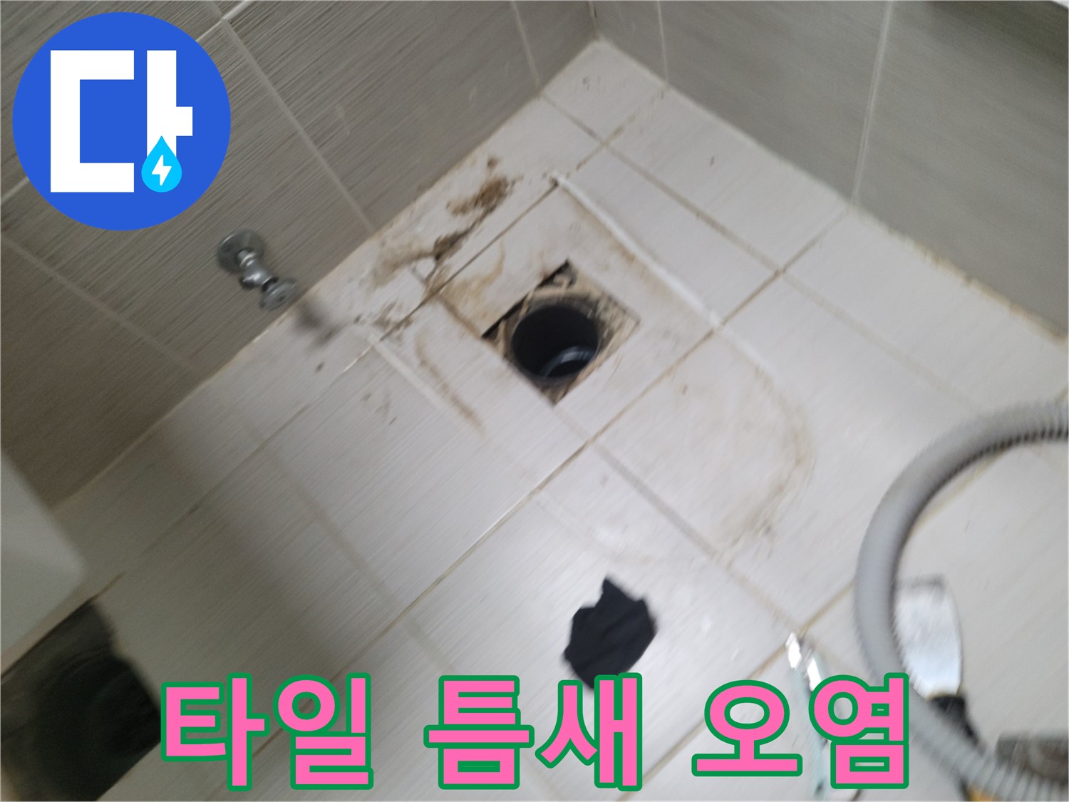 동두천시 지행동 - 욕실 하수구 주변 타일 틈새 오염 - 누수 의심