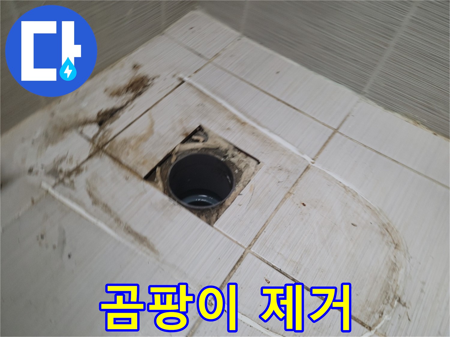 배수구 주변 - 곰팡이 박멸 작전 개시