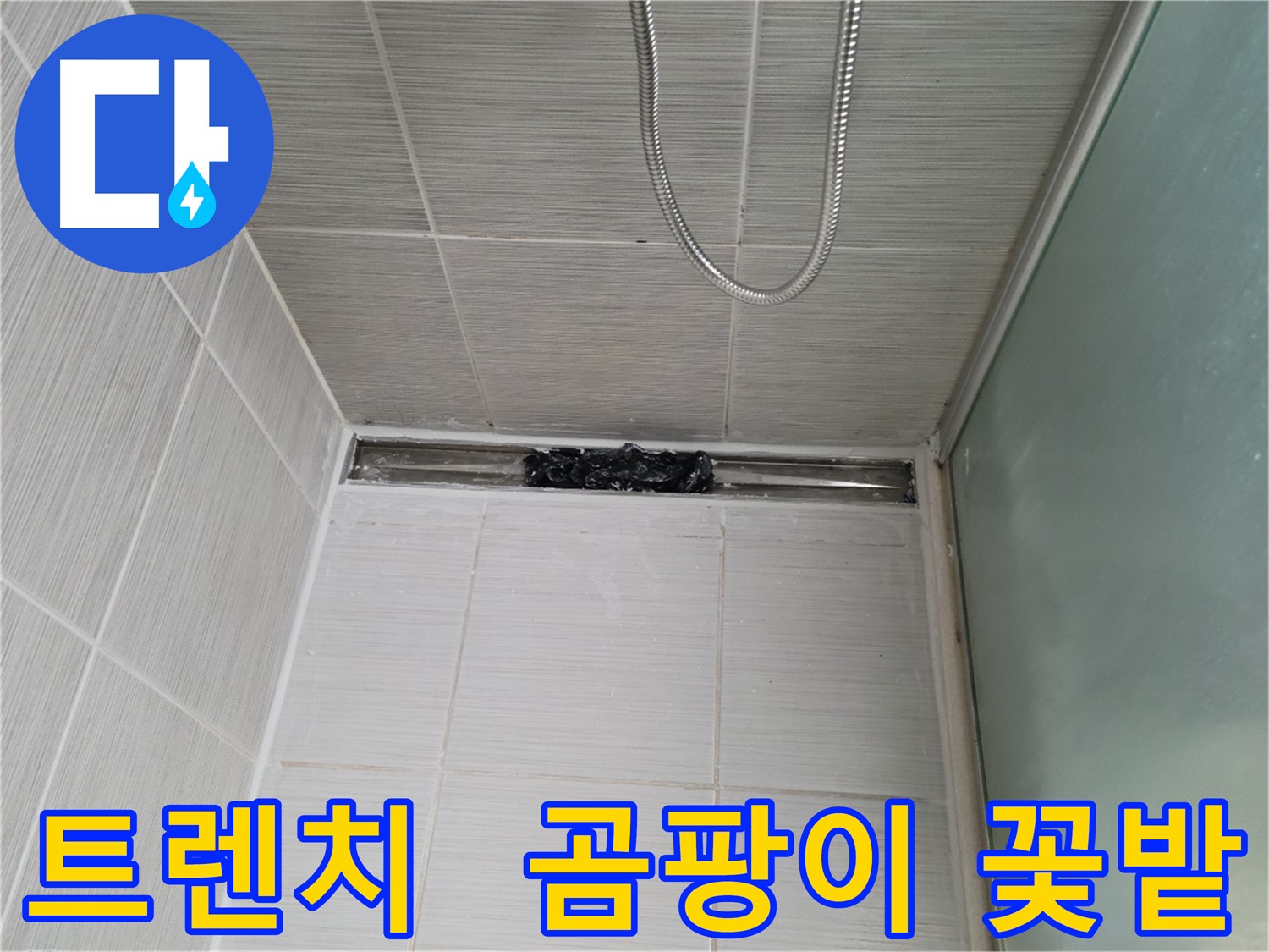 샤워부스 트렌치 - 으악! 곰팡이 꽃밭이 피었네!