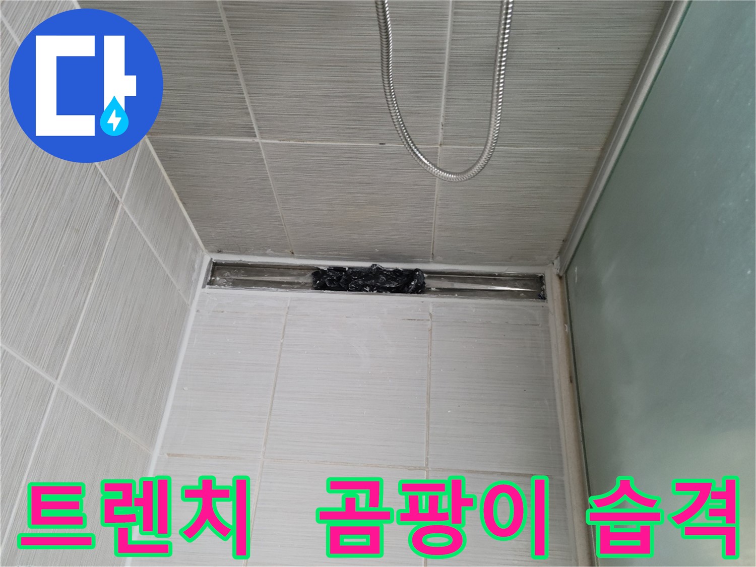 샤워부스 트렌치 - 으악! 곰팡이 습격!
