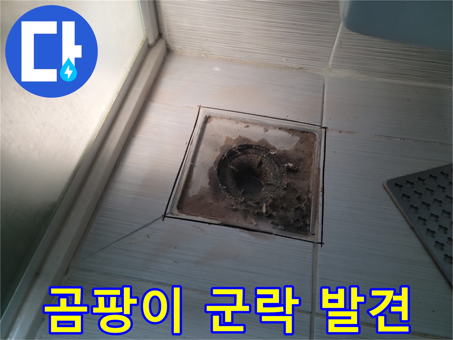 신창비바패밀리 욕실 배수구 주변 - 곰팡이 군락 발견, 누수 의심!