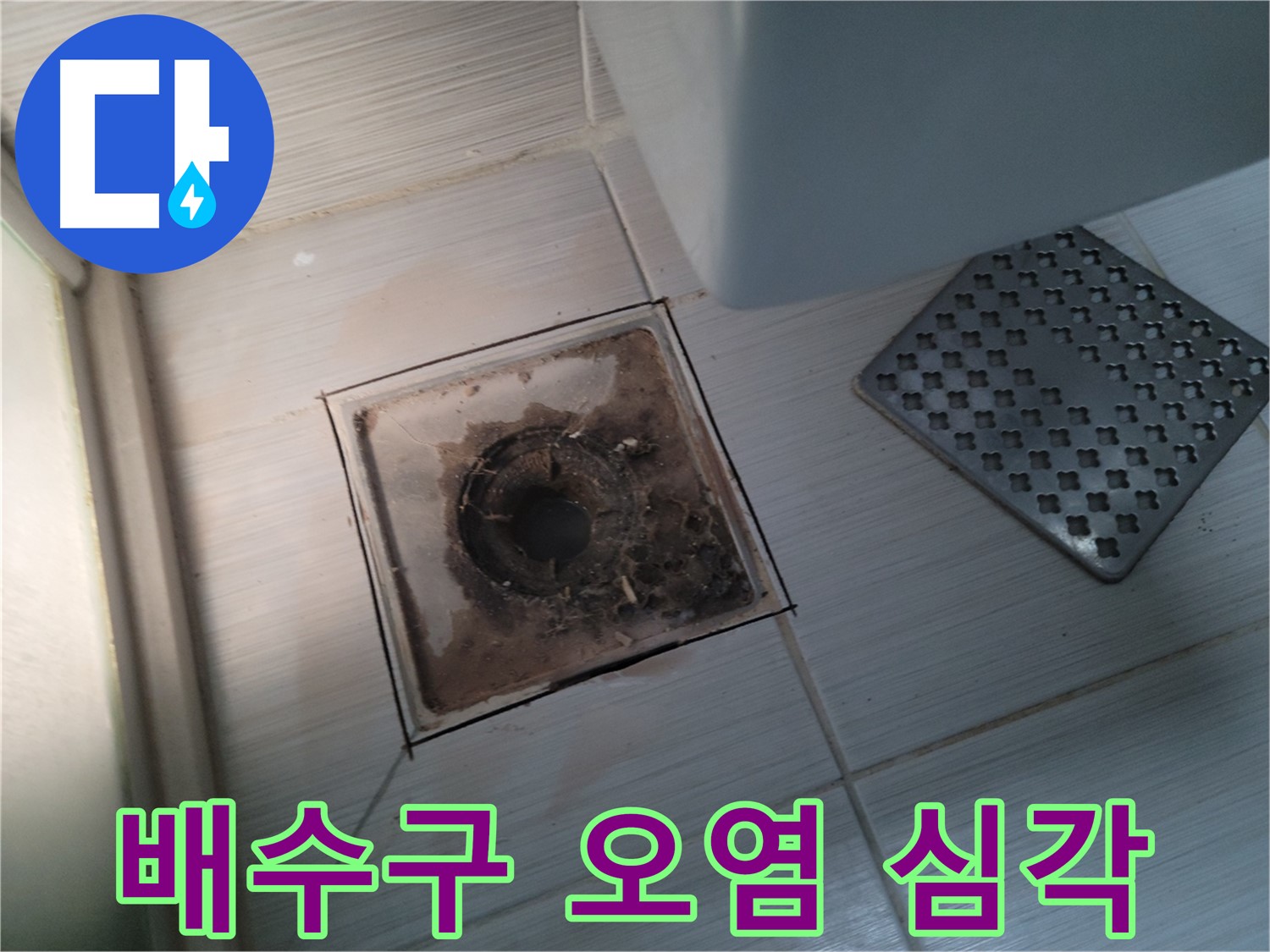 욕실 배수구 - 심각한 오염 상태 - 곰팡이와 찌든 때 제거 시급