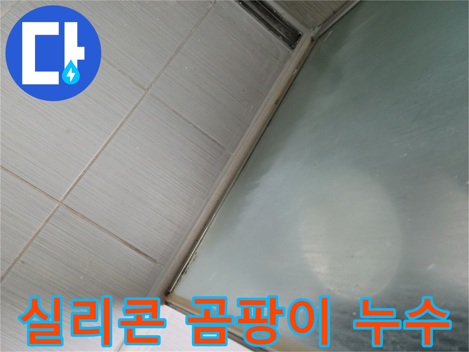 욕실 실리콘 곰팡이 - 동두천 누수 전문가가 누수 여부를 정확하게 진단