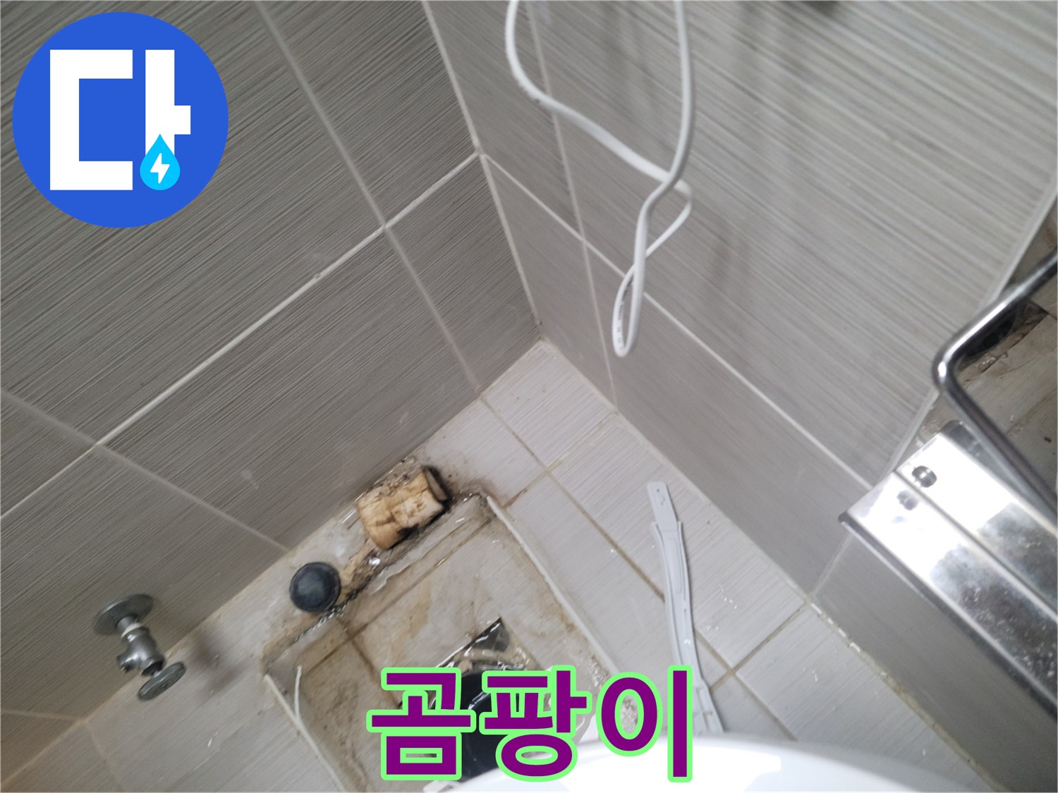 욕실 하수구 주변 - 곰팡이
