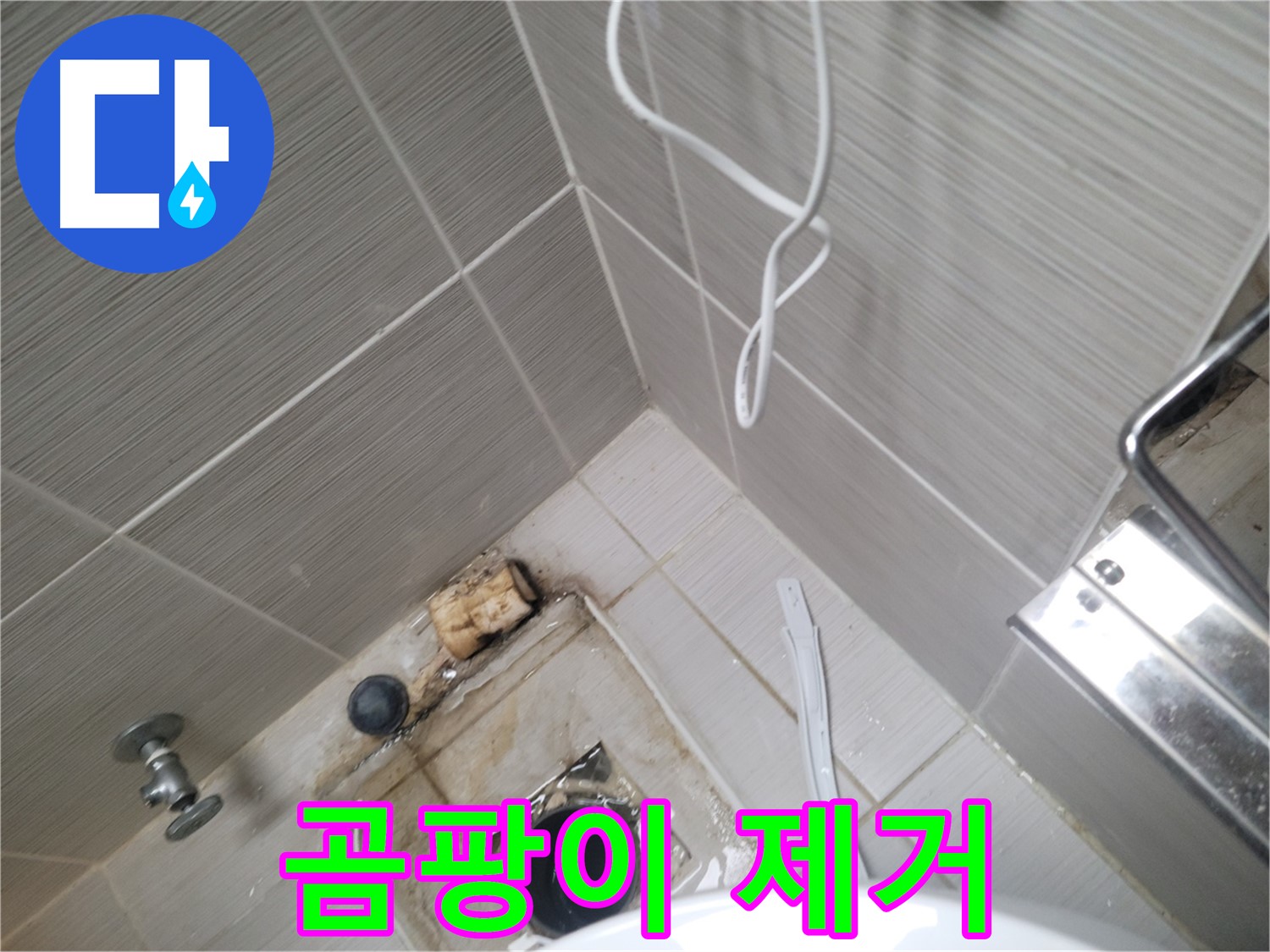 욕실 하수구 주변 - 곰팡이 제거 작업