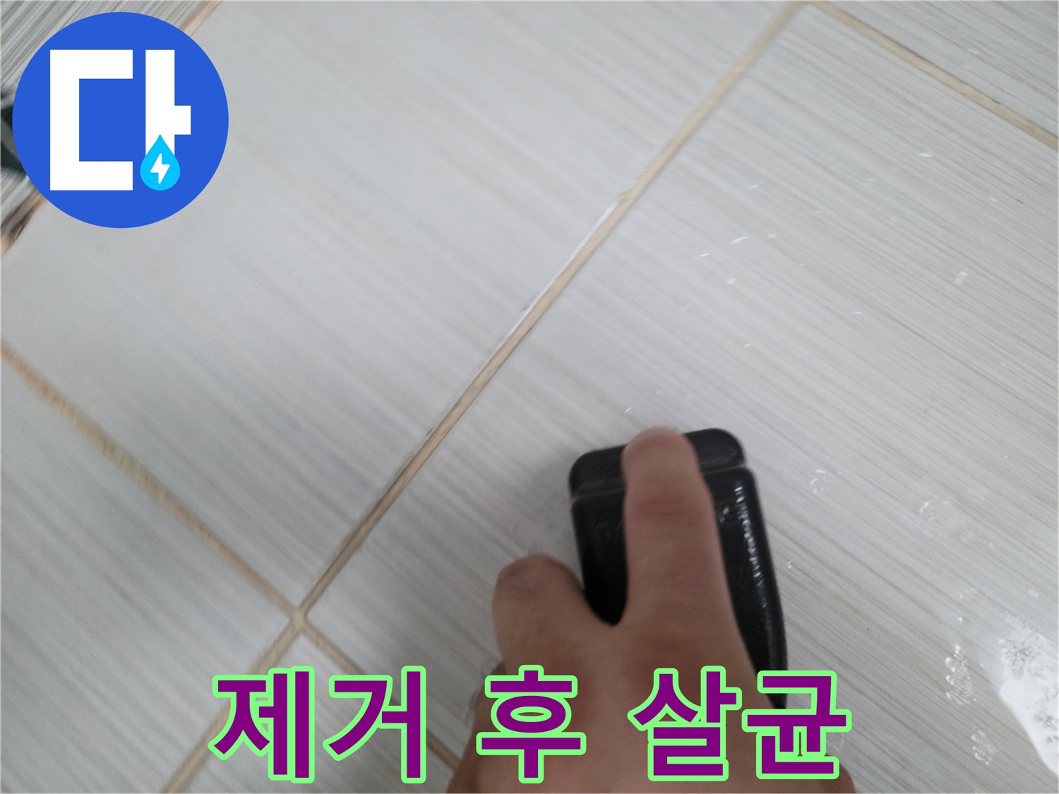 타일 틈새 - 곰팡이 제거 후 살균 소독 작업