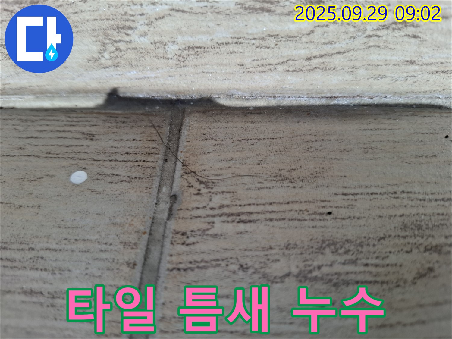 양주시 광적면 누수 - 타일 틈새 누수 문제, 전문적인 진단과 시공으로 해결합니다.