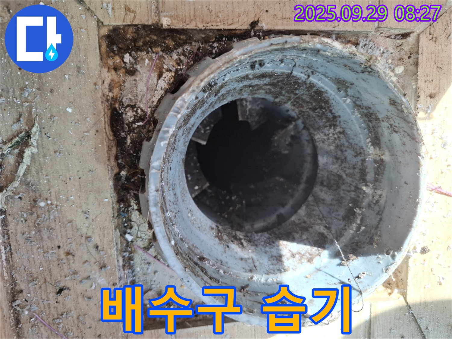 양주시 광적면 우고리 - 배수구 주변 습기 확인, 누수 가능성 점검