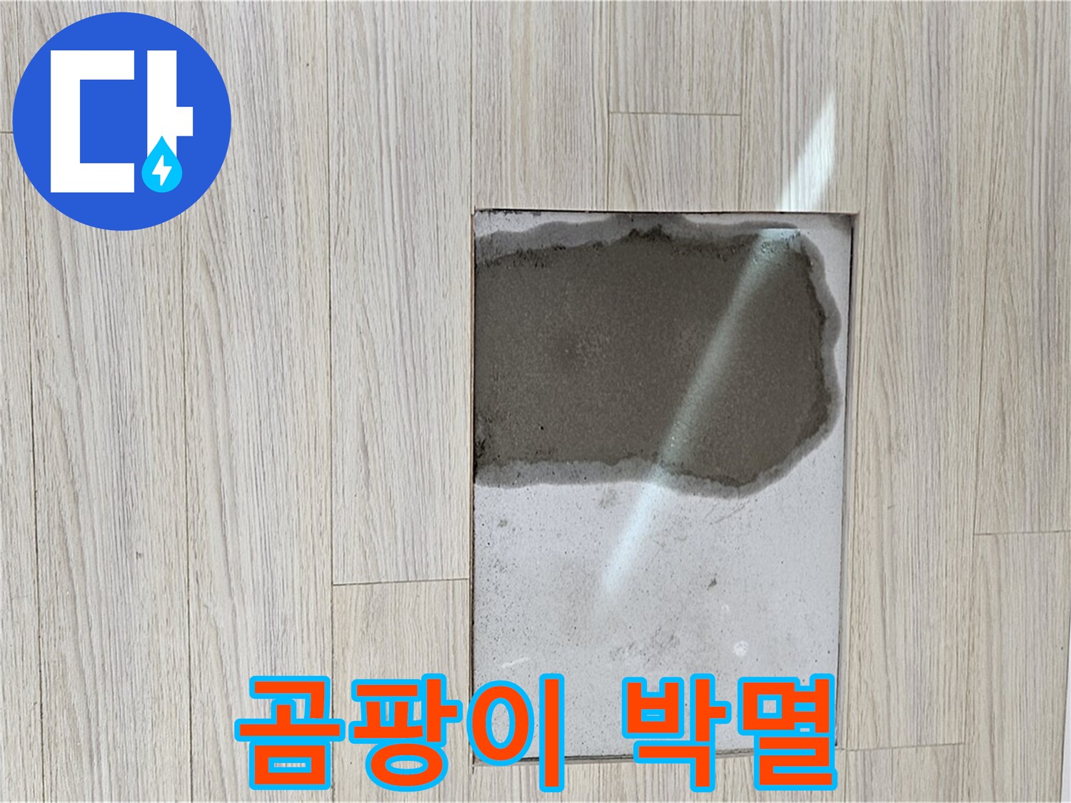 도봉구 현대시티 마루 곰팡이 - 완전 박멸 작전