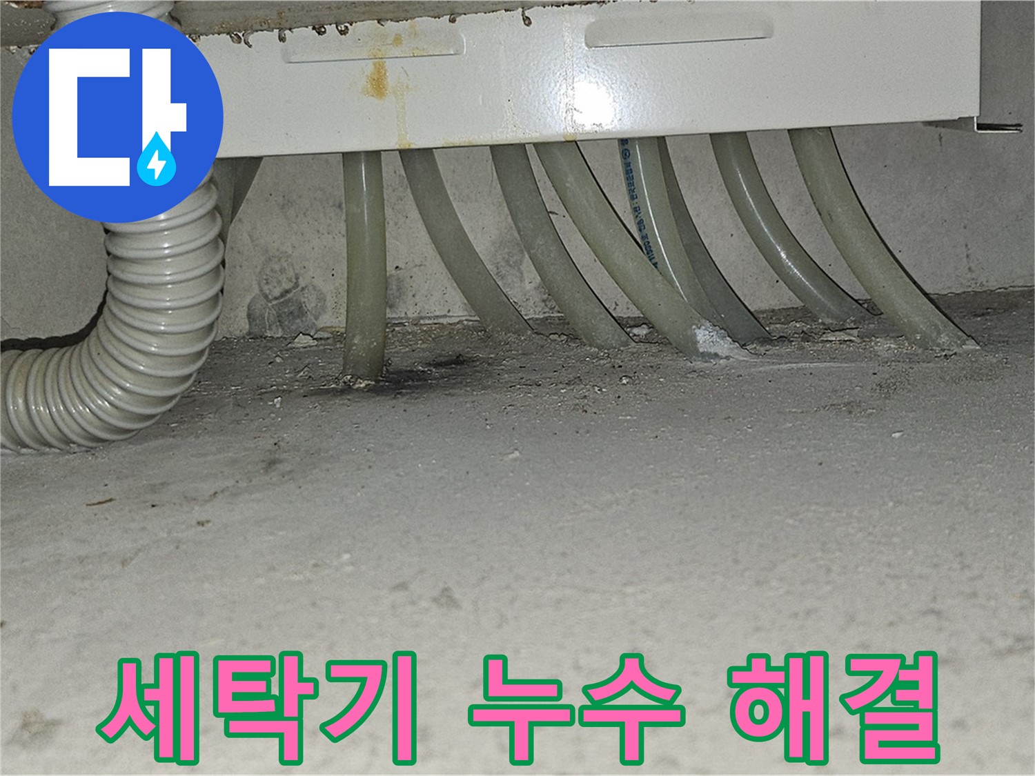 현대시티 세탁기 누수 문제 - 누수 전문가의 정확한 진단과 신속한 해결로 걱정 없이 사용하세요!