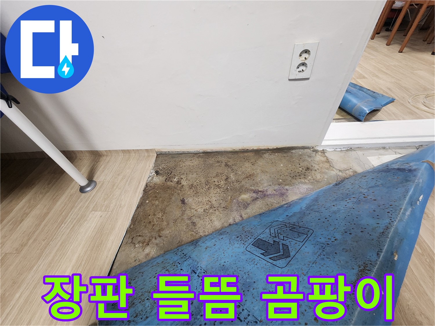노원구 누수 - 장판 들뜸과 곰팡이 발견 - 누수 초기 대응 중요