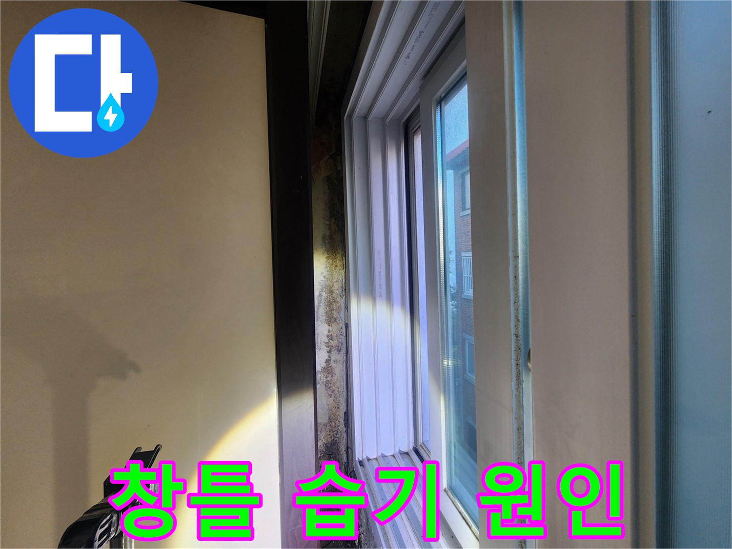 노원구 창틀 주변 습기 및 곰팡이 - 누수탐지 및 원인 진단 필요