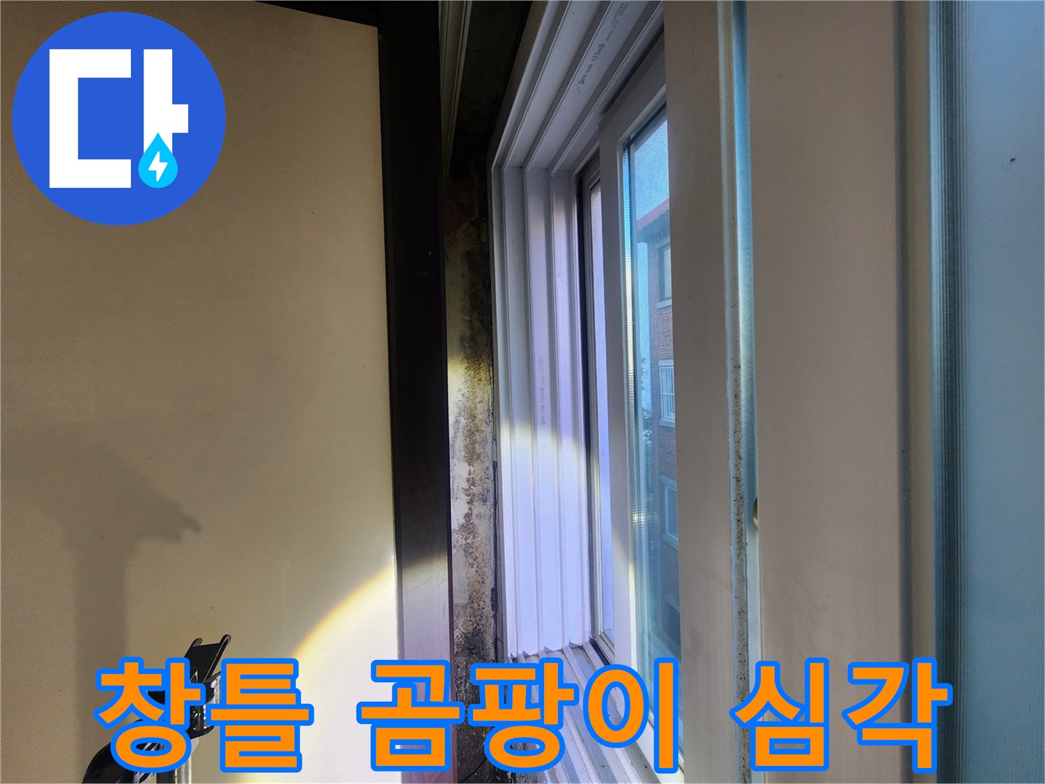 창틀 주변 곰팡이 심각 - 누수 원인 분석 및 해결 시급