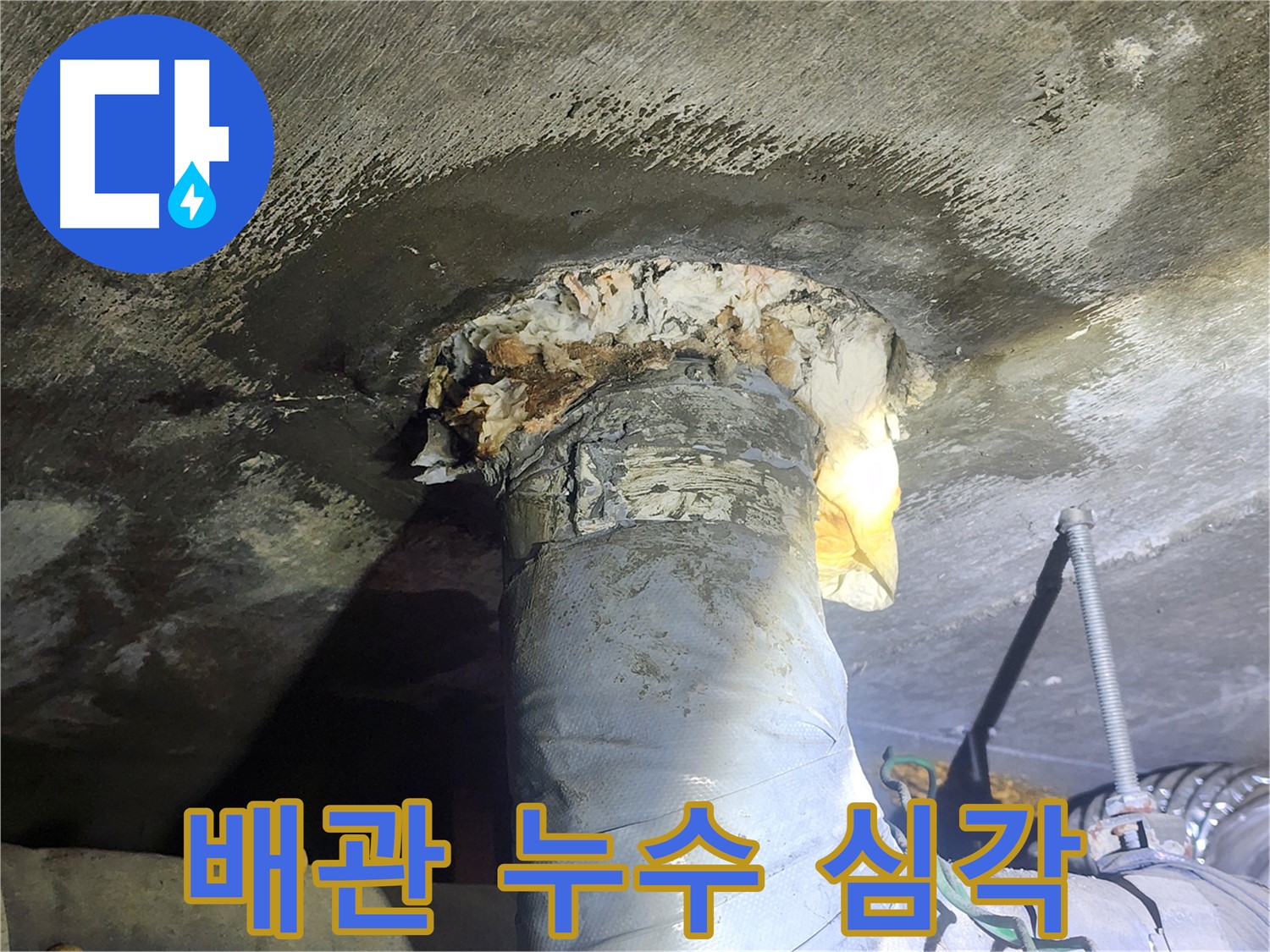 영등포구 당산동 래미안당산1차 아파트 누수 - 심각한 배관 상태와 누수 흔적